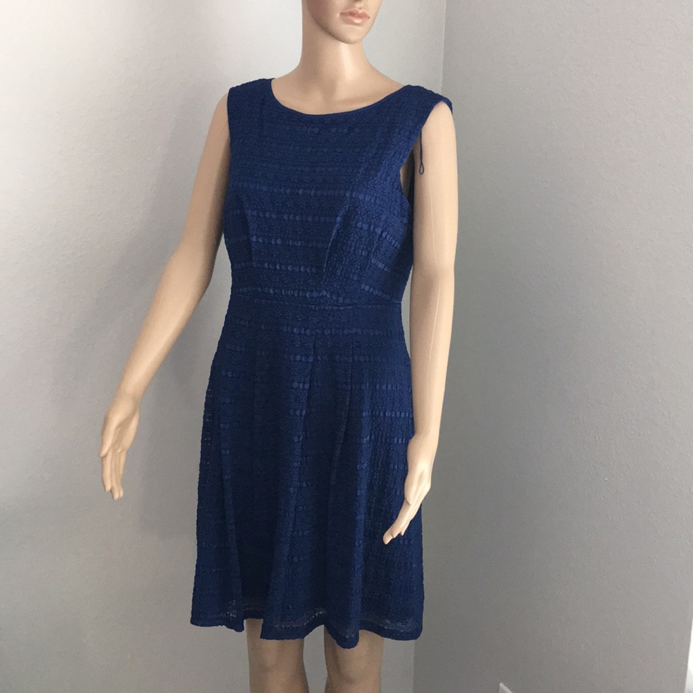 Adrianna Papell lace navy dress